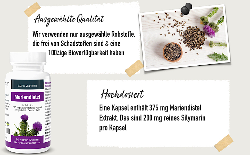 C3_Mariendistel