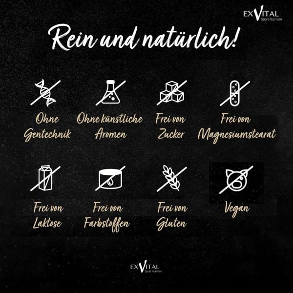 Mumijo Shilajit Kapseln, hochdosiert von EXVital